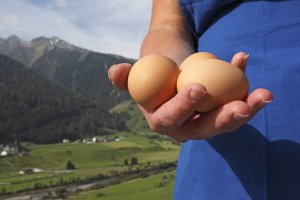 Nagelehof Bauernhofprodukte 3